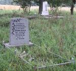 Free State, REITZ district, Nooitgedacht 94, farm cemetery