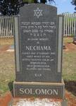 SOLOMON Nechama -1982