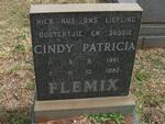 FLEMIX Cindy Patricia 1981-1982