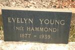 YOUNG Evelyn nee HAMMOND 1877-1939