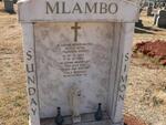 MLAMBO Sunday Simon 1963-2004