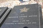 HEYNS Hendrik Andre 1961-1984