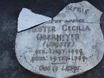 OBERMEYER Hester Cecilia nee JOOSTE 1865-1926