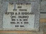 ODENDAAL Hester A.S. nee CILLIERS 1876-1950