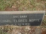 NOPPE Charl Flores 1971-1971