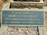 PERFECT Robert Spencer 1867-1955