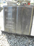 HEEVER Millicent Ray, van den 1964-2004