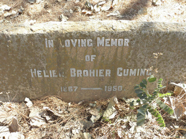 CUMING Helier Brohier 1867-1950