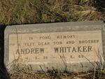WHITAKER Andrew 1936-1969