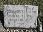 LILLEBO Peder Lauritz 1905-1906
