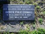 COOMBES Andrew Philip 1968-1995
