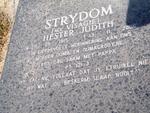 STRYDOM Willem Abraham 1914-1973 & Hester Judith VISAGIE 1915-2006 