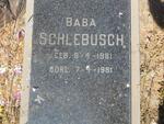 SCHLEBUSCH Baba 1981-1981