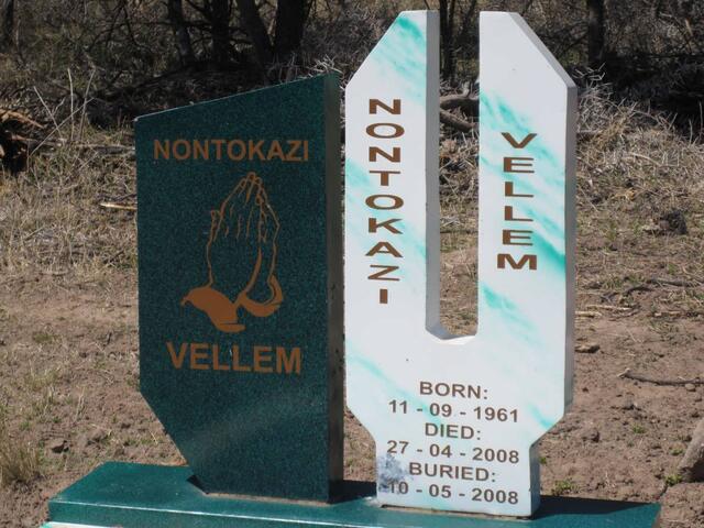 VELLEM Nontokazi 1961-2008