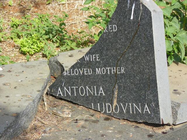 FERNANDES Antonia Ludovina 1903-1975