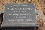 SIPPEL William H. 1869-1957