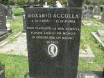 ACCOLLA Rosario 1923-1984