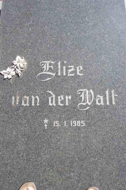 WALT Elize, van der 1985-