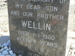 ? Wellin -1980