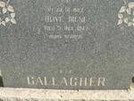 GALLAGHER Olive Irene born WEBBER -1947