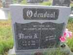 ODENDAAL Maria A. 1932-1981