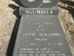 NGUMBELA Jappie Benjamin, Ndlovu 1969-2003