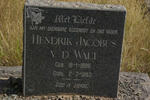 WALT Hendrik Jacobus, v.d. 1888-1953