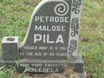 PILA Petrose Malose -1955