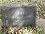 MABIZELA Albert Ndomo -1952