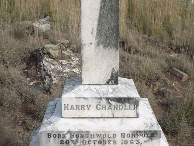 CHANDLER Harry 1863-