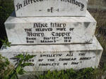 CAPPER Alice Mary 1855-1916