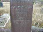 ALCOCK Alexander 1852-1939 & Annie STEYN 1865-1929