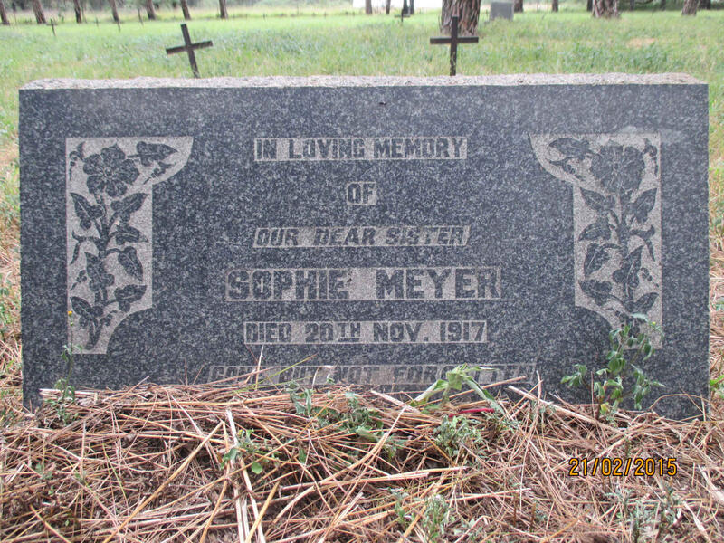 MEYER Sophie -1917