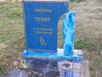 TERRY Petunia 1978-2005