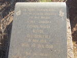 Gauteng, VANDERBIJLPARK district, Kalbasfontein 385 IQ_1, farm cemetery