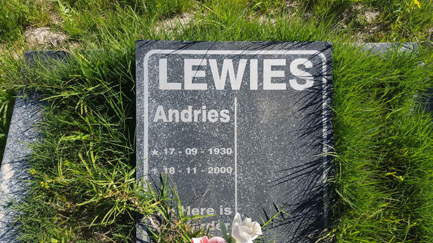 LEWIES Andries 1930-2000