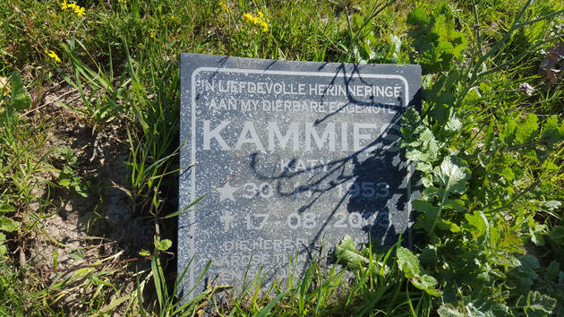 KAMMIES Katy 1953-2003
