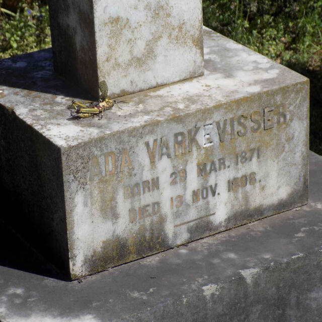 VARKEVISSER Ada 1871-1898