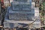 LUCAS Charles Joseph Arthur 1913-1913