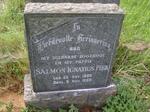 PIEK Salmon Ignatius 1920-1952