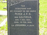 LELYVELD Peter J.F.H., van 1854-1898 :: VAN LELYVELD Johanna
