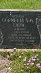 LOUW Cornelia A.W. nee KORF 1890-1964
