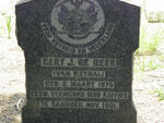 BEER Gert J., de 1875-1901