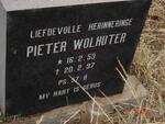 WOLHUTER Pieter 1953-1997