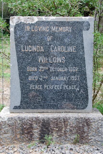 WILLOWS Lucinda Caroline 1869-1957