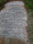 ROODT Cornelius Hendrik 1924-1991 & Susanna Elizabeth Susara 1929-1989 :: ROODT Cornelius Hendrik 1948-1958 