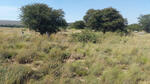Gauteng, WESTONARIA district, Jachtfontein 344 IQ, rural cemetery_3