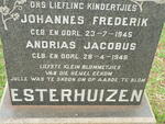 ESTERHUIZEN Johannes Frederik -1945 :: ESTERHUIZEN Andrias Jacobus -1948