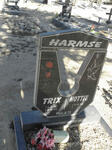 HARMSE Hottie 1926- & Trix 1927-2012