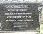 ? Andries Johannes 1890-1962 & Elsabe Cornelia GELDENHUYS 1891-1959